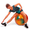  Фитболл-мяч Bodyball Gymnic разноцветный 65 см 